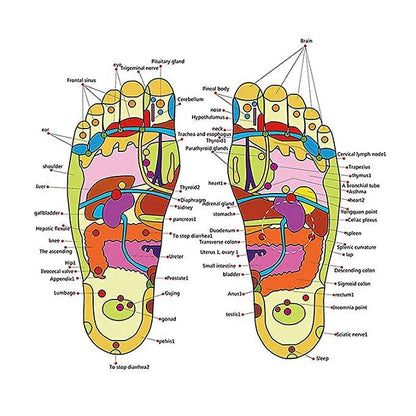 Wellness Footwear with Pressure Point & Magnetic Support